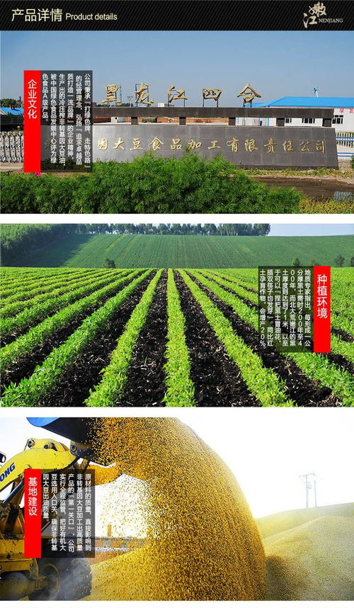 东北黑龙江嫩江四合冷炸大豆油 特产豆油 1l4桶 包邮精装铁盒